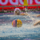 Vízilabda világbajnokok Győrben - photo Gombás Ákos