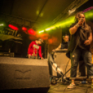 RómerKvelle 2015 - Irie Maffia _ photo Gombás Ákos