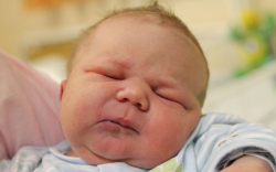 Pintér László Zalán