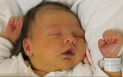 Bartalos Hajnalka Hanna 