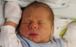 Halmos Máté Benedek