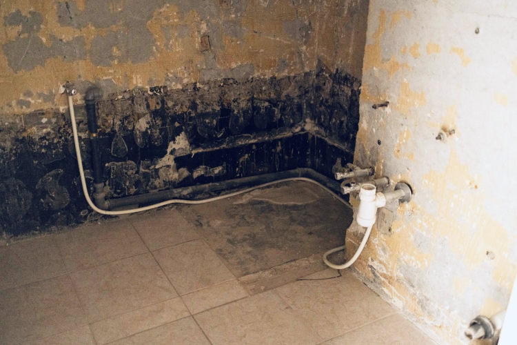 Elindultak a lakásfelújítások Győrben