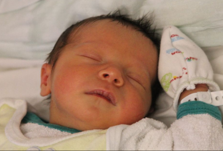 Németh Árpád Ferdinánd 