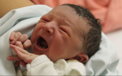 Pádár Andzseló Raul 