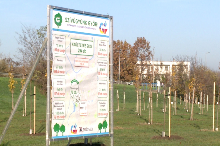 Újabb facsemetékkel bővült a Győrkőcliget