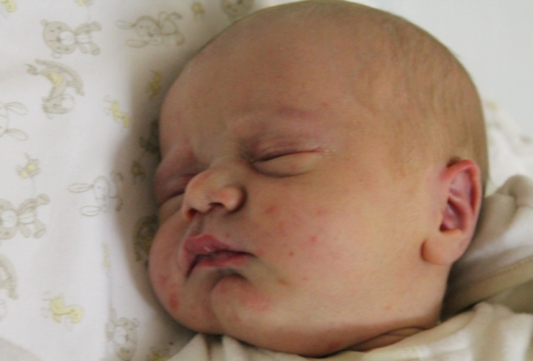 Tóth Gergely Máté