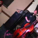 Virgin: Rockin' RockCats