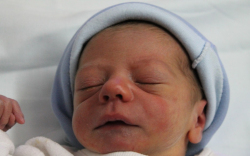 Heiner Dániel Benjamin