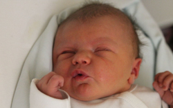 Németh József Zoltán 