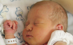 Faltusz-Polgár Léna 