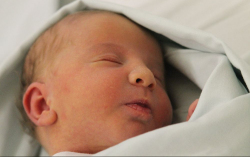 Udvardi Réka Renáta 