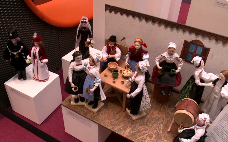 Babák és mackók az Egyetemen