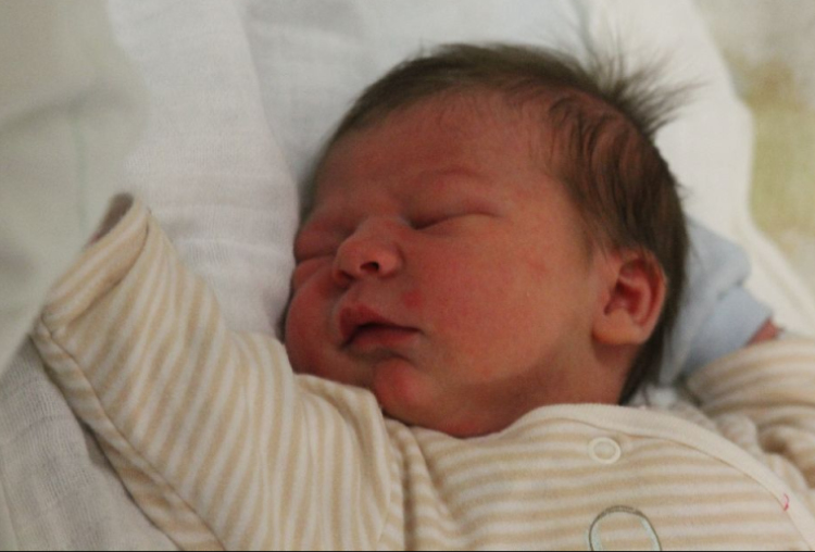 Rohovánszky Krisztián Zoltán 