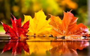 Marad a novemberi nyár