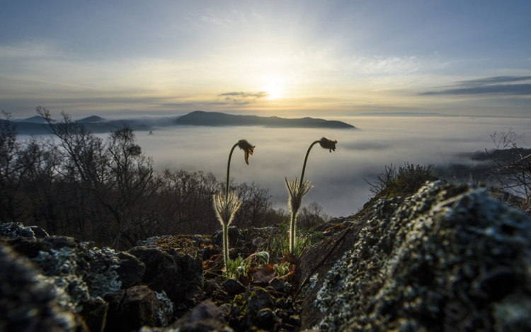 Vasárnapra megérkezik a tökéletes tavaszi idő