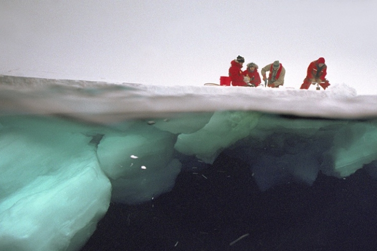 Van élet az antarktiszi jégpáncél alatti tóban