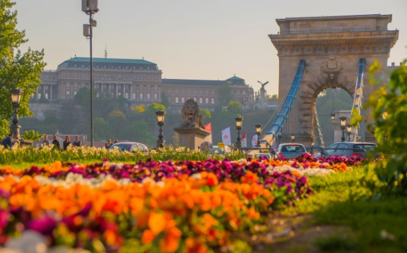 Június 1-jéig fogadják a jelentkezéseket a Virágos Magyarország versenyre