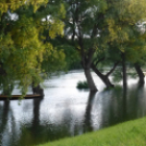 Olvasónk képei az árvízi védekezésről