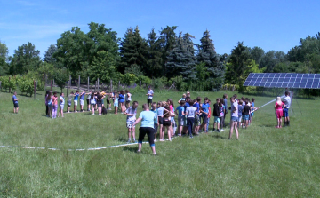 Egyedül hagyott gyerekek nyáron