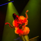 Club Vertigo -  UV Party 2013.11.03. (szombat)