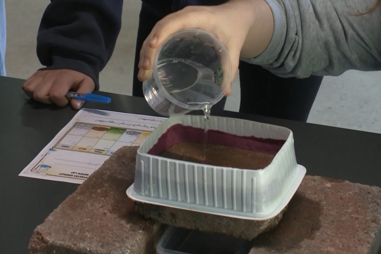 A fenntarthatóságról a Föld napján Győrben