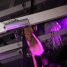 Club Mundo - Dj Tarkan 2015.08.22. (Szombat) (Fotók: Mundo)