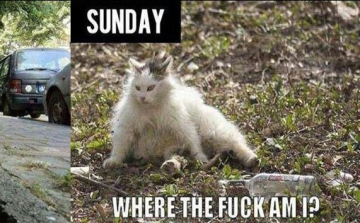 Péntek reggel kontra szombat reggel! 