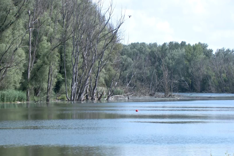 Versenyek, táborok, haltelepítések – Mozgalmas időszak ez a halőrök számára