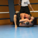 2013.02.16.Szombat Profi MMA És Box Mérkőzés Fotók:árpika