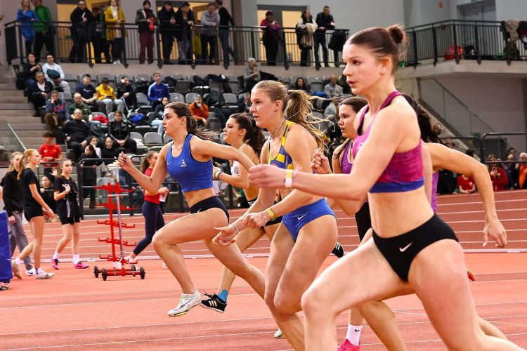 Nyolc érem Nyíregyházáról