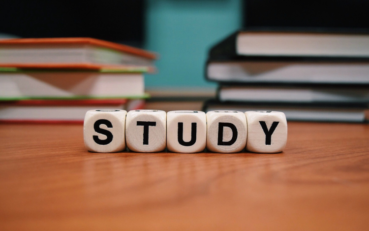 Nyelvtanulás mellett most jótékonykodni is lehet