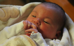 Pintér Zselyke Vivien 