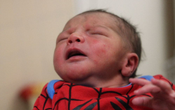 Balogh Mánuel Rodrigó 