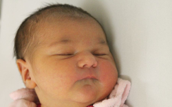 Puruczkai Brenda Brenda Violetta 