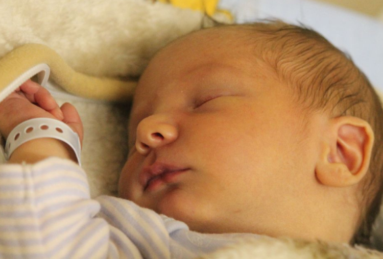 Káldy Levente Sándor 