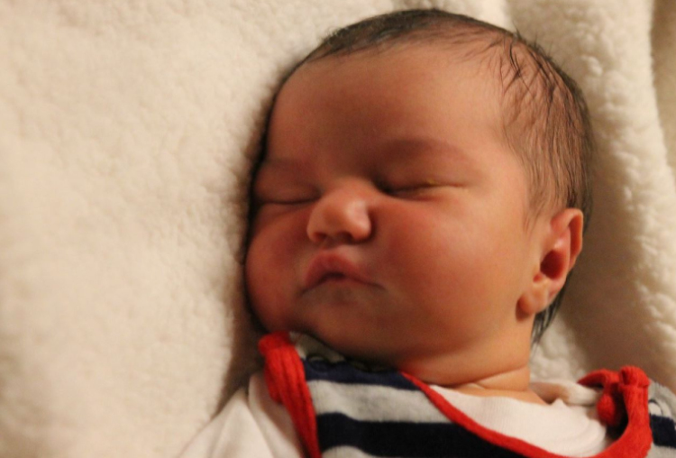 Zsebők Júlia Dalma 