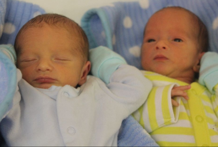 Szentgyörgyi Tamás és Dávid 