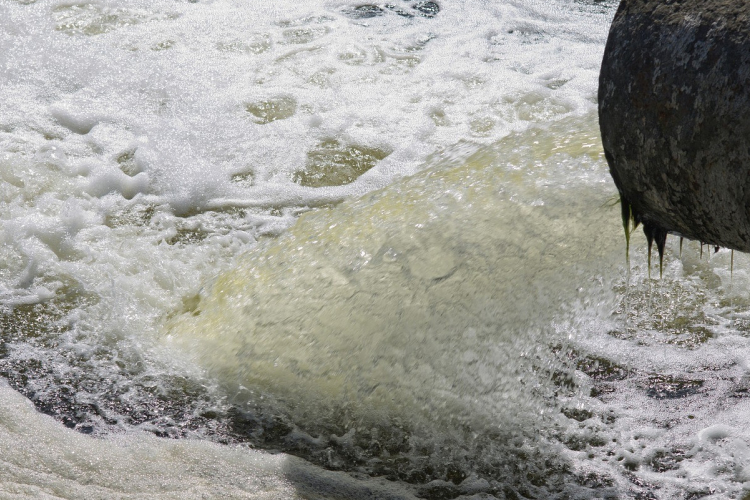 Ezt ne húzd le a wc-n