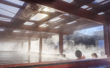 Munkacsoport alakult a győri fürdő ügyében