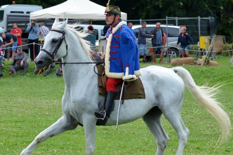 Találkozz a mesebeli állatokkal, a találkozások városában