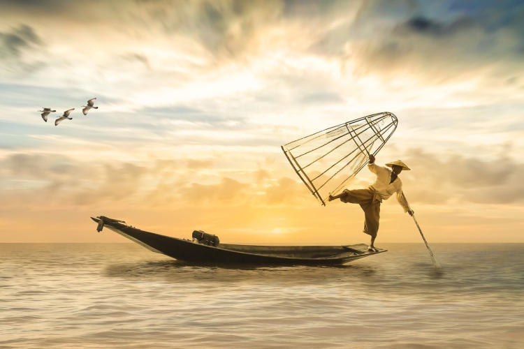 A Marcalon varsázott, lebukott