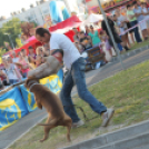 2013.06.23.Vasárnap SzFeszt 4.nap Fotók.árpika