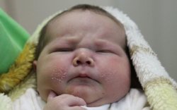 Póczik Nóra Ildikó