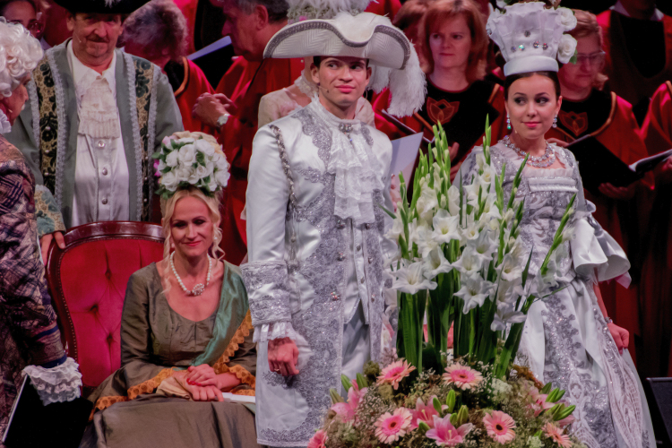 Barokk párt keresnek! 