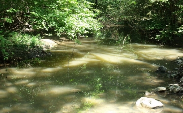 Holttestet találtak Sopronban, az Ikva patakban ( Frissítve )