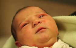 Nyári Brendon Dzsúlió 