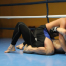 2013.02.16.Szombat Profi MMA És Box Mérkőzés Fotók:árpika