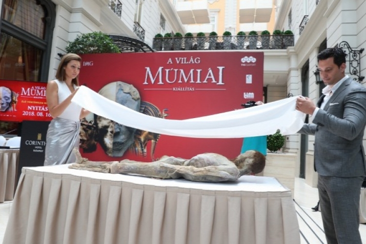 Hazánkba érkezik a világ legnagyobb múmiagyűjteménye