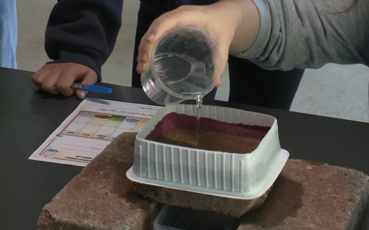 A fenntarthatóságról a Föld napján Győrben