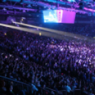 2017.12.29. Rapülők Az utolsó koncert Fotók:árpika 